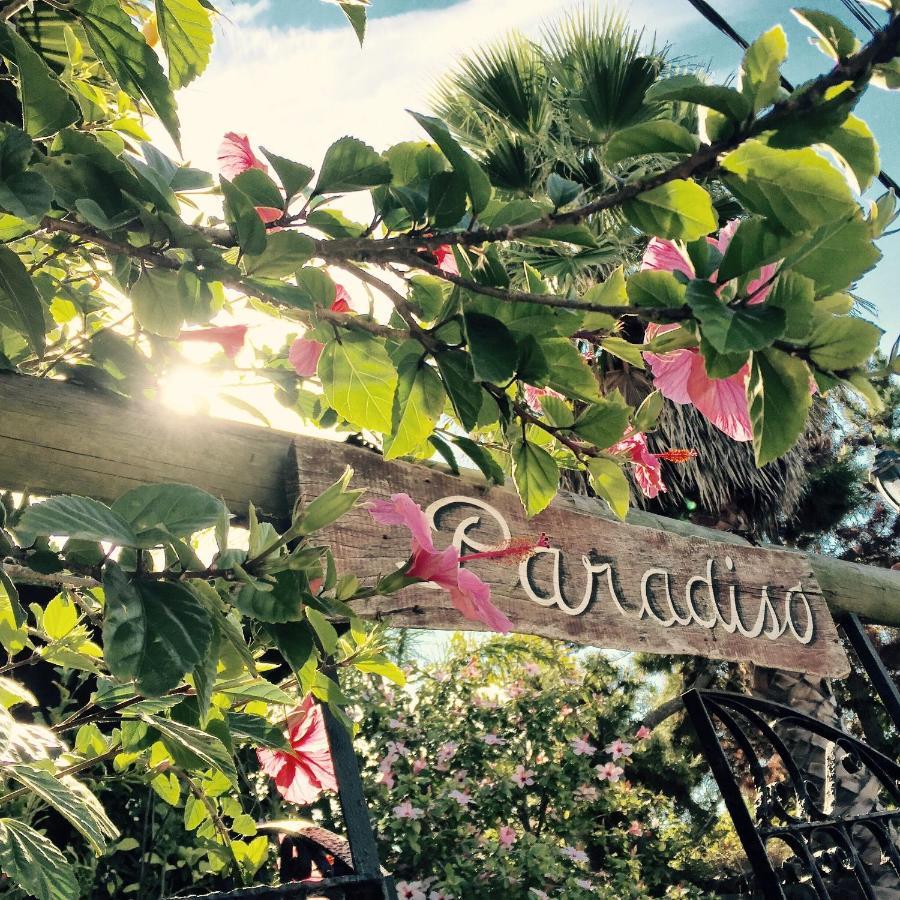 Posada Paradiso 何塞伊格纳西奥 外观 照片